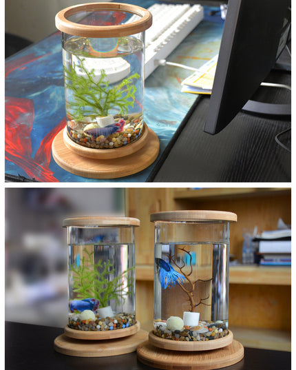 Small Office Glass Aquarium Mini Fish
