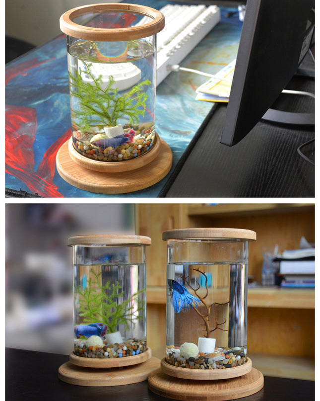 Small Office Glass Aquarium Mini Fish
