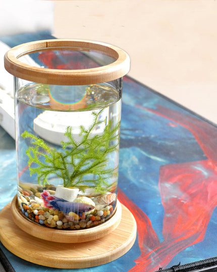 Small Office Glass Aquarium Mini Fish
