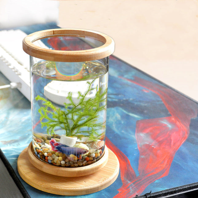 Small Office Glass Aquarium Mini Fish