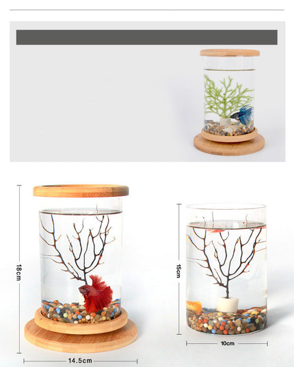 Small Office Glass Aquarium Mini Fish