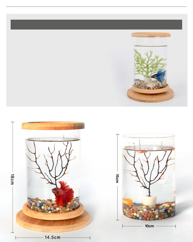 Small Office Glass Aquarium Mini Fish