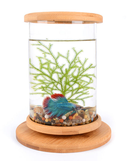Small Office Glass Aquarium Mini Fish