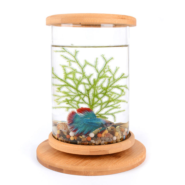 Small Office Glass Aquarium Mini Fish