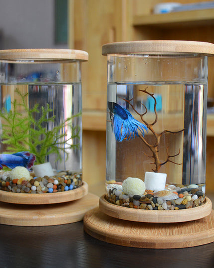 Small Office Glass Aquarium Mini Fish