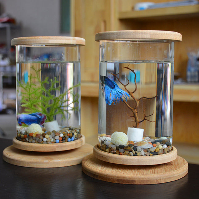 Small Office Glass Aquarium Mini Fish