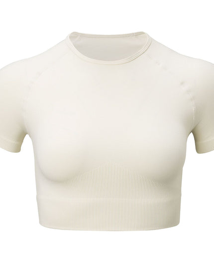 Shark Knit Seamless Fitness Yoga Long Sleeve Set